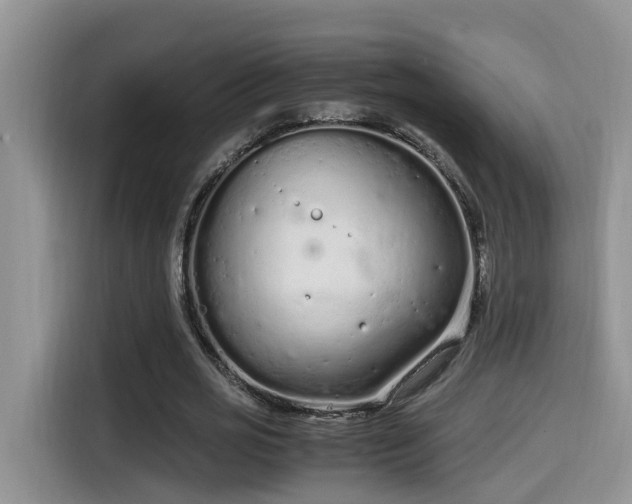 X0000115540725200911131543