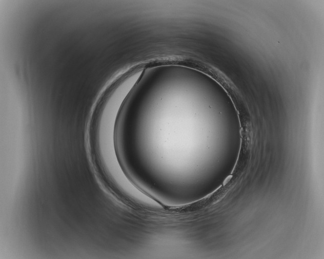 X0000115540726200911131543