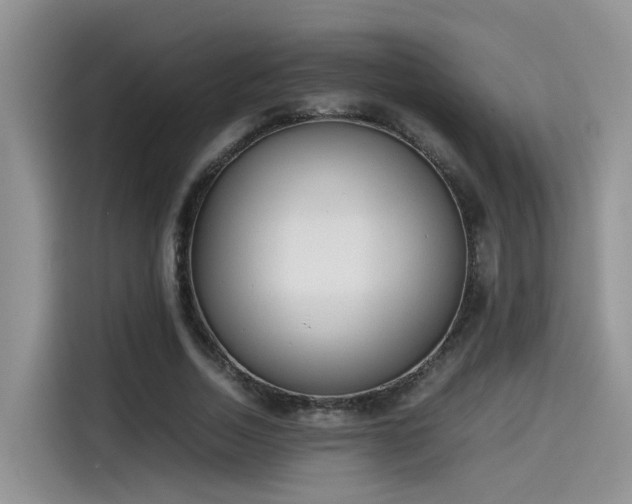 X0000115540730200911131543