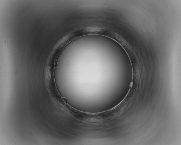 X0000115540731200911131543