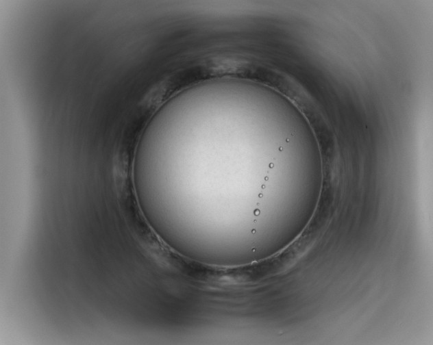 X0000115540737200911131544