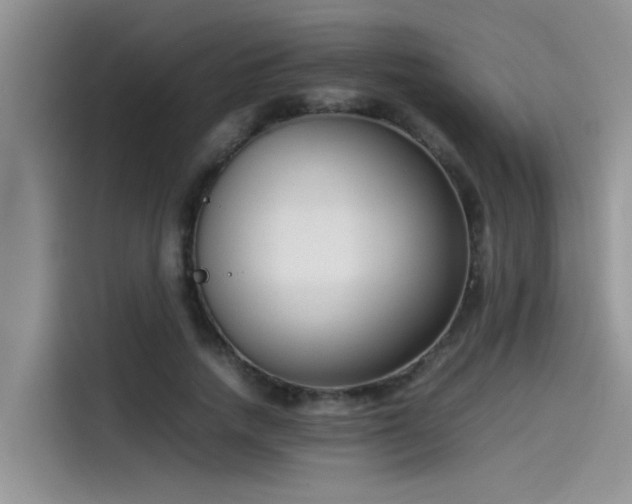 X0000115540738200911131544