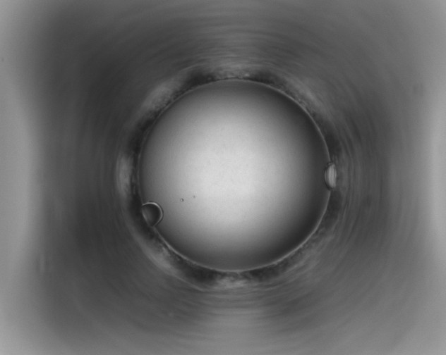 X0000115540742200911131544