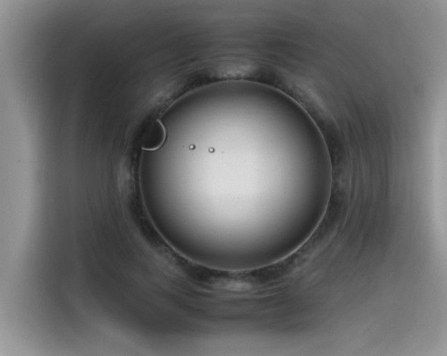 X0000115540743200911131544