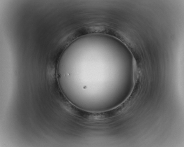 X0000115540745200911131544