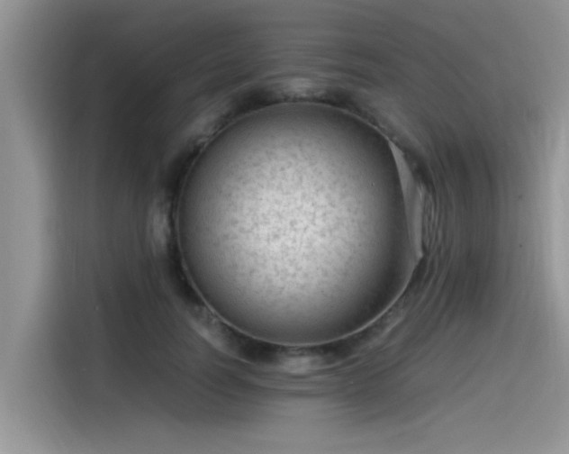 X0000115540746200911131544