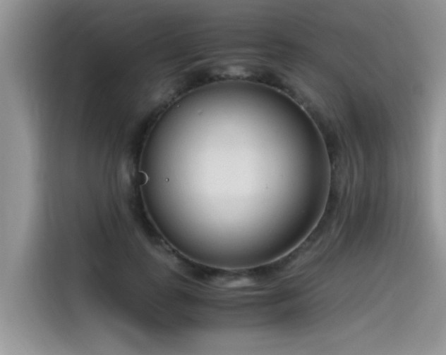 X0000115540747200911131544