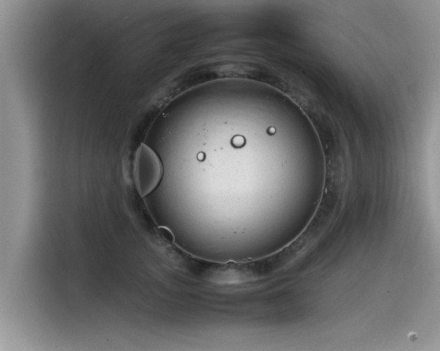 X0000115540755200911131544