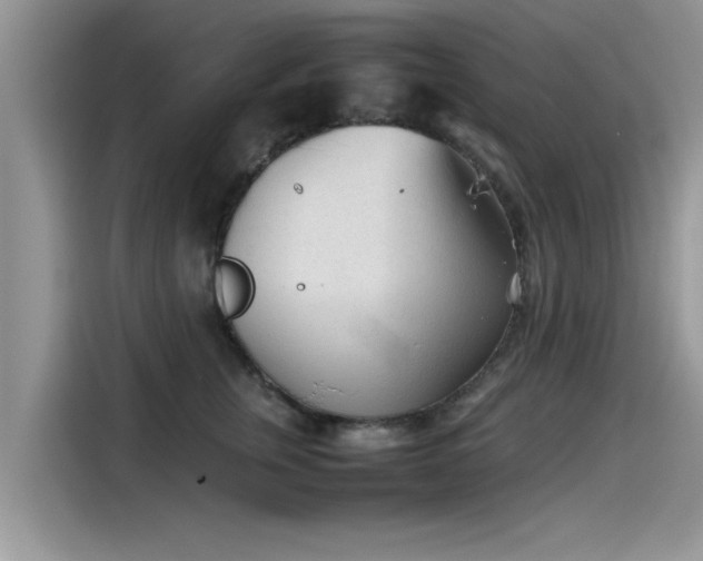 X0000115540759200911131544