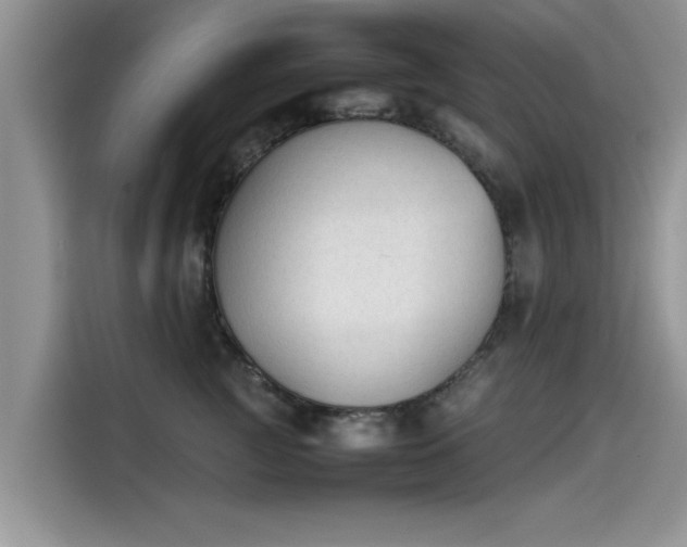 X0000115540761200911131544