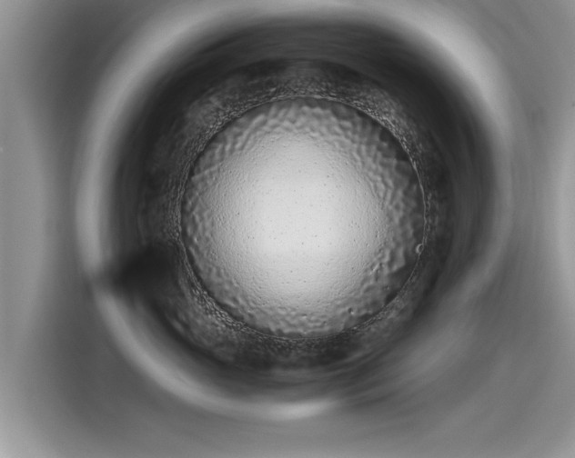 X0000115540765200911131544