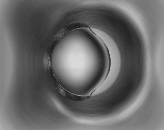 X0000115540766200911131544