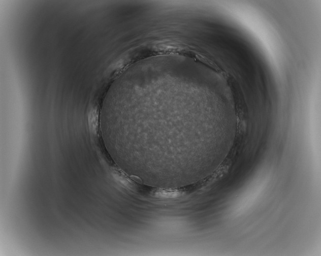 X0000115540767200911131544