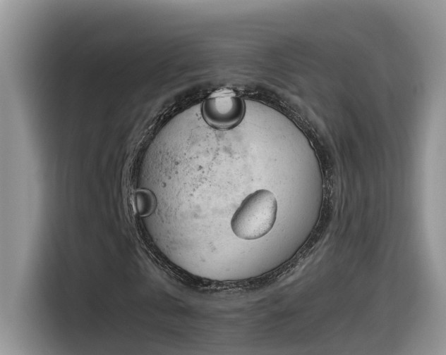 X0000115540769200911131543