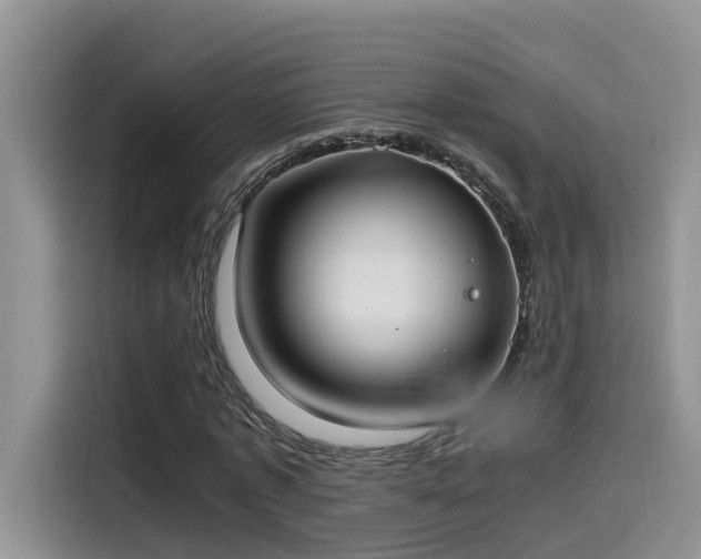 X0000115540773200911131543