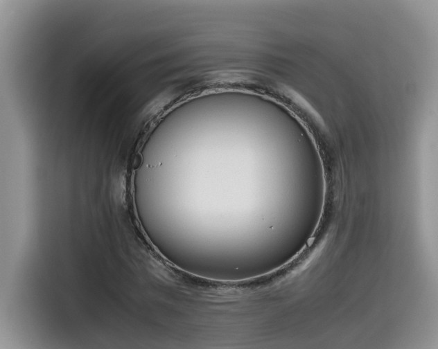 X0000115540777200911131543