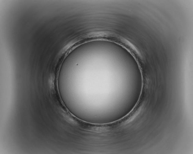 X0000115540778200911131543