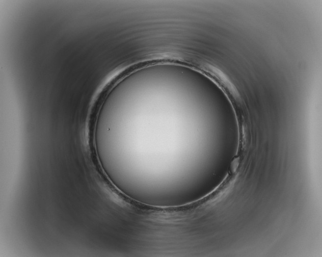 X0000115540780200911131543