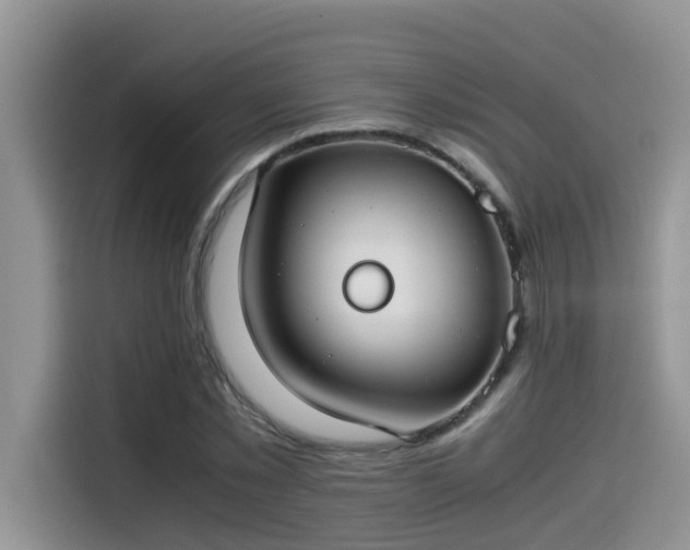 X0000115540781200911131543