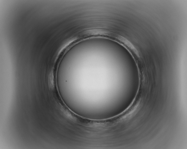 X0000115540782200911131543