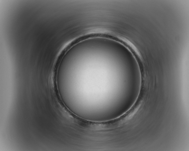 X0000115540783200911131543