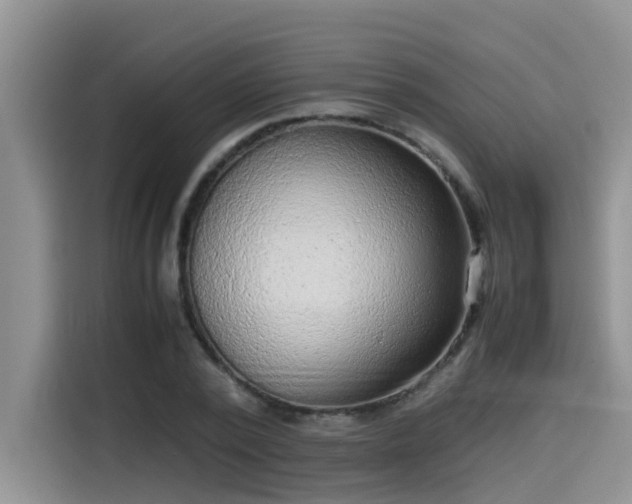 X0000115540784200911131543