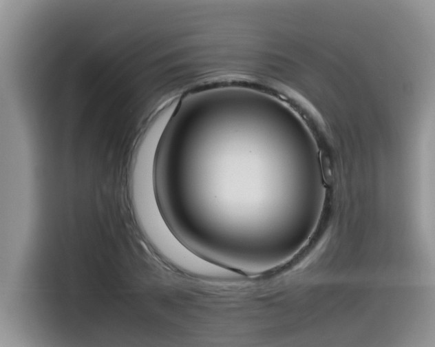 X0000115540785200911131543