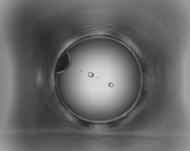 X0000115540789200911131543