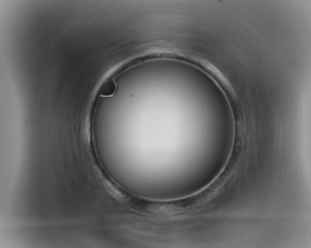 X0000115540791200911131543