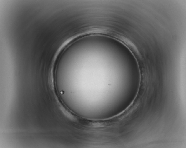 X0000115540792200911131543