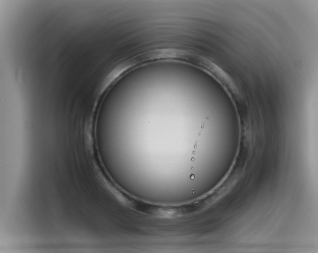 X0000115540794200911131543