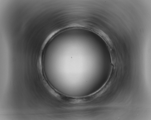 X0000115540796200911131543