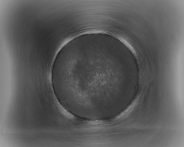 X0000115540797200911131543