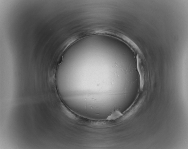 X0000115540801200911131543