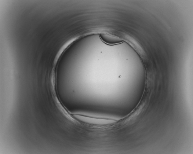 X0000115540804200911131543