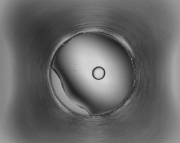 X0000115540805200911131543