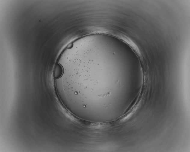 X0000115540806200911131543