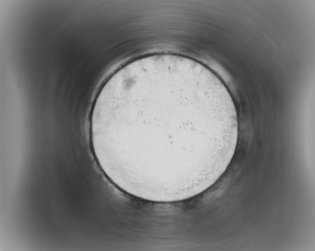 X0000115540807200911131543