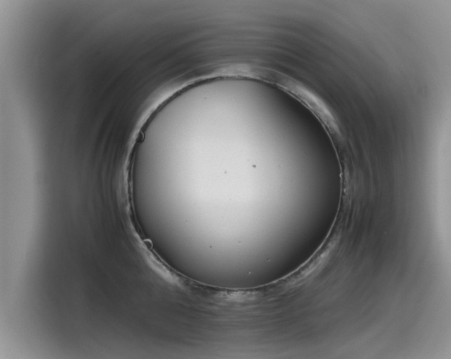 X0000115540808200911131543