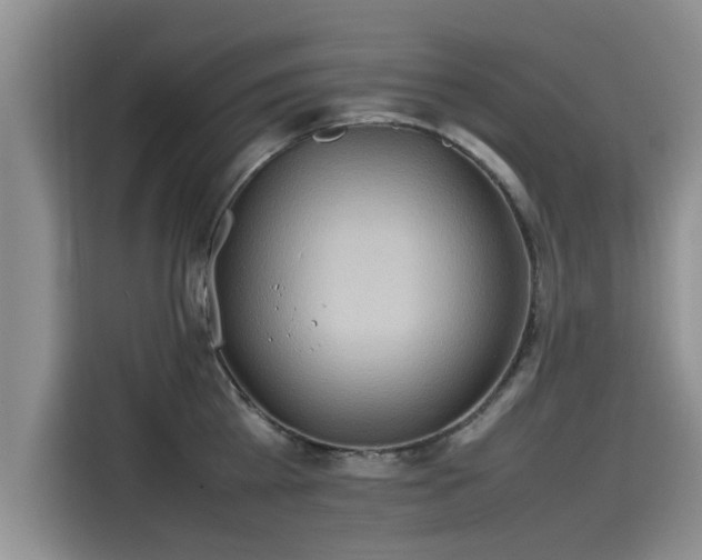 X0000115540809200911131543