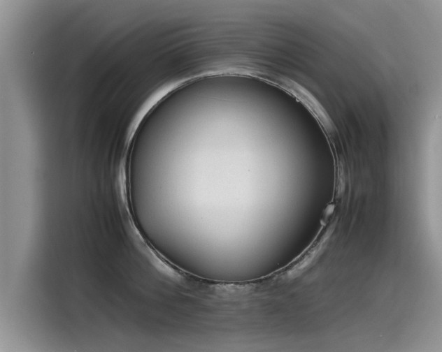 X0000115540812200911131543