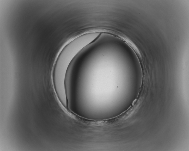 X0000115540813200911131543