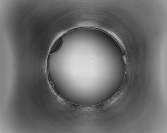 X0000115540815200911131543