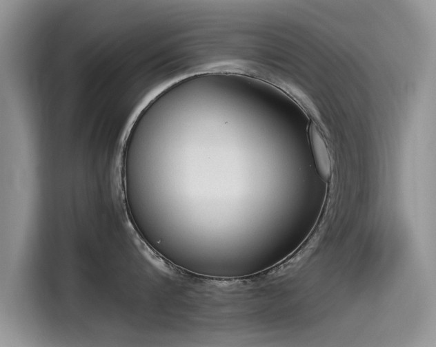 X0000115540816200911131543