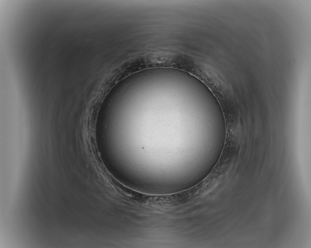 X0000115540817200911131542