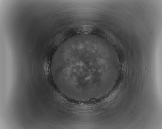 X0000115540818200911131542