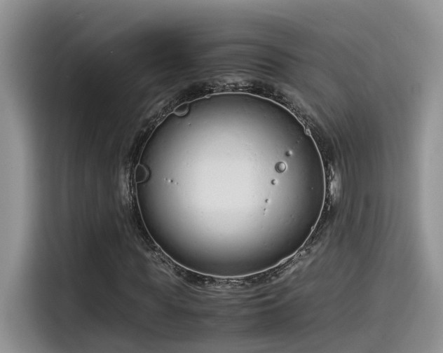 X0000115540819200911131542