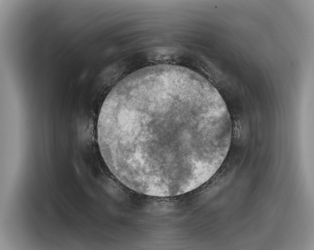 X0000115540820200911131542