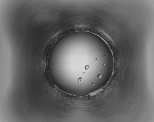 X0000115540821200911131542