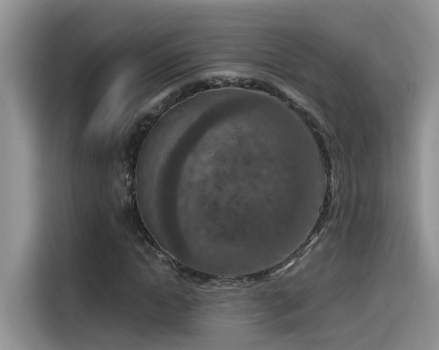 X0000115540822200911131542